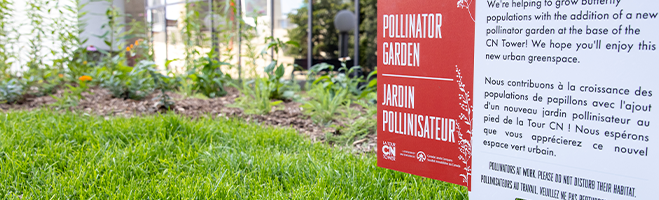 The pollinator garden at the base of the CN Tower