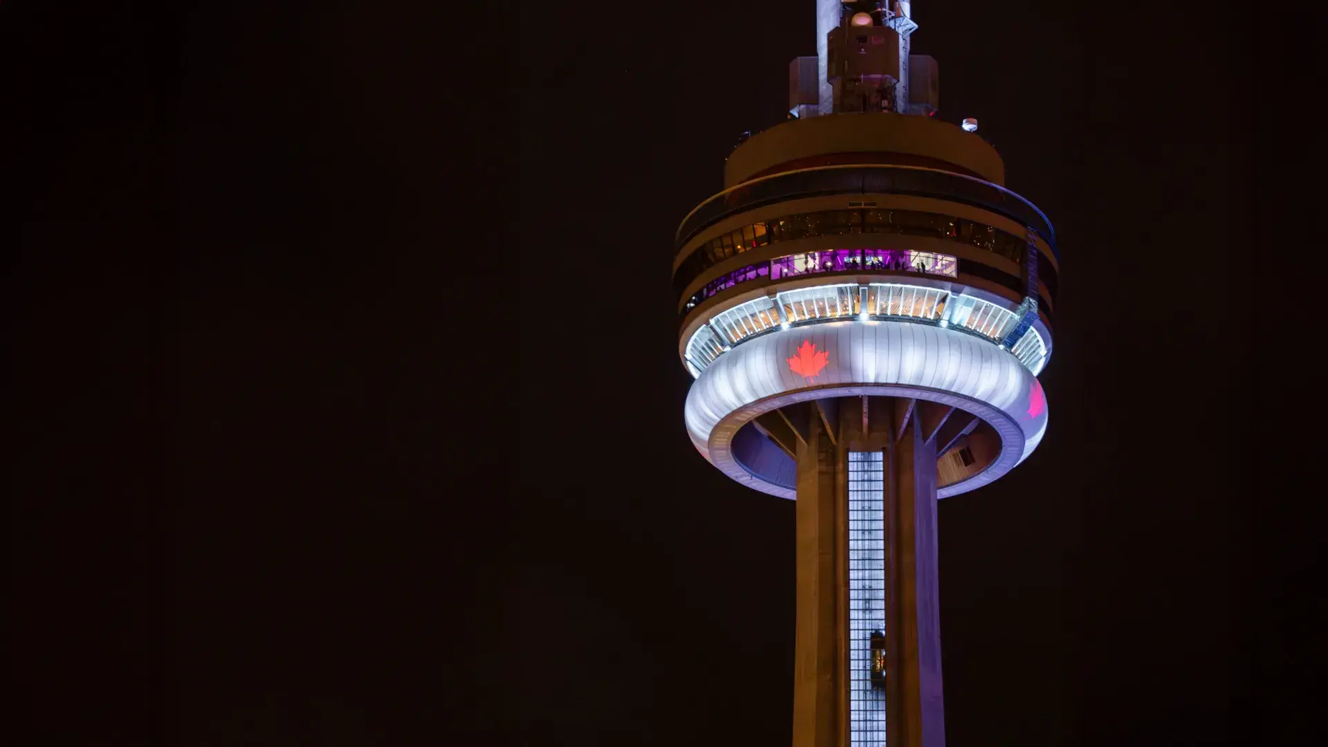 View of the CN Tower lit at night with maple leaves on its radome
