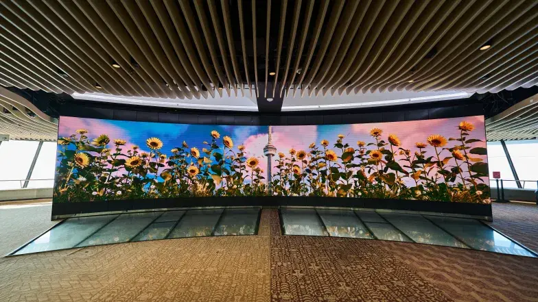 Curved digital screen displaying a field of sunflowers with the CN Tower centered in the background, inside a modern observation level with a glass floor and wood slatted ceiling.