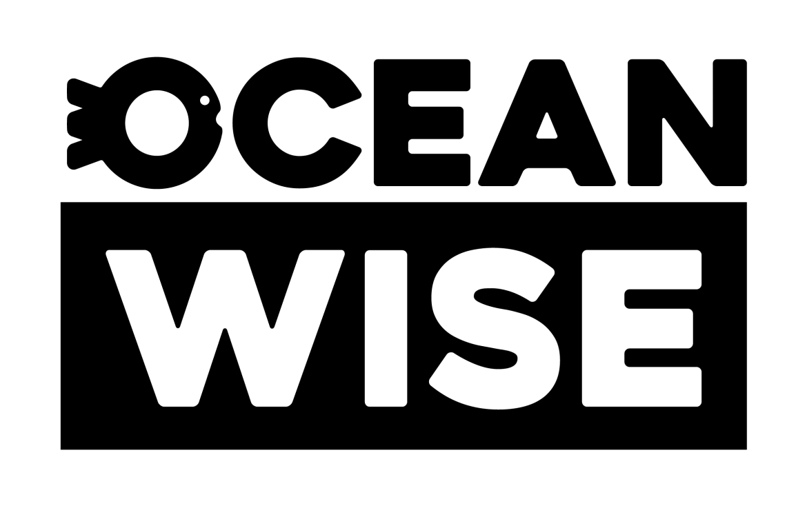 oceanwise logo